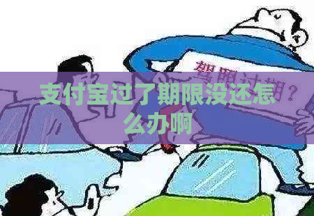 支付宝过了期限没还怎么办啊