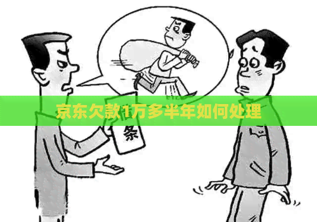京东欠款1万多半年如何处理