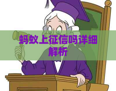 蚂蚁上吗详细解析