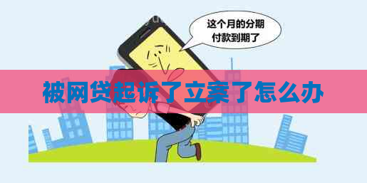 被网贷起诉了立案了怎么办