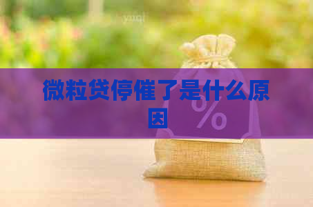微粒贷停催了是什么原因