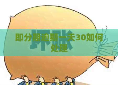 即分期逾期一天30如何处理