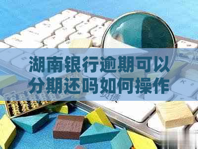 湖南银行逾期可以分期还吗如何操作 湖南银行逾期可以分期还吗如何操作