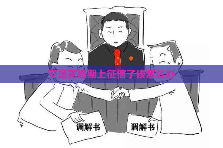 安逸花逾期上了该怎么办