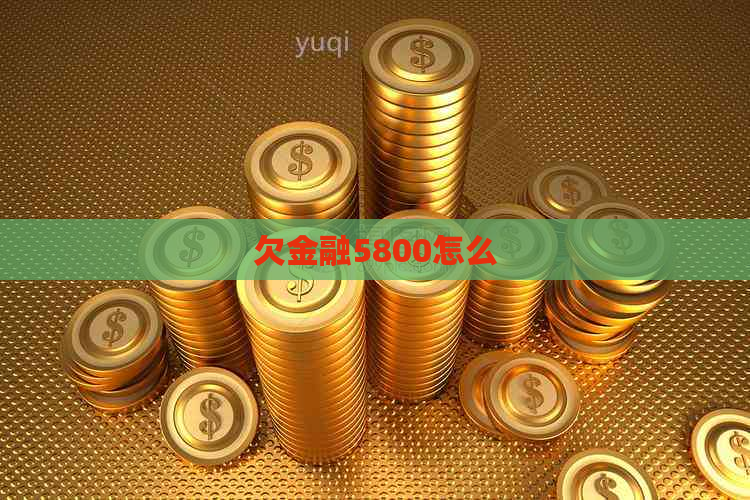 欠金融5800怎么