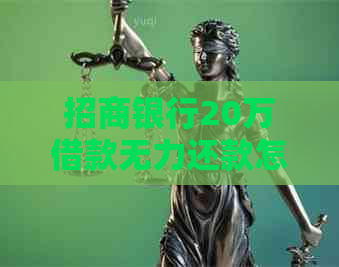 招商银行20万借款无力还款怎么办