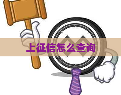 上怎么查询