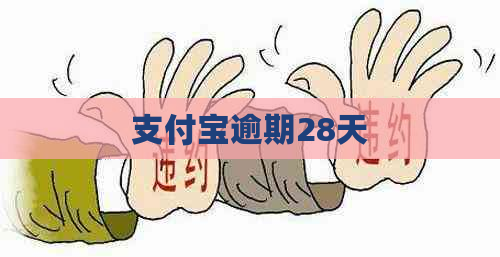 支付宝逾期28天