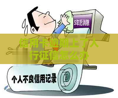 信用卡逾期上了人行怎么办