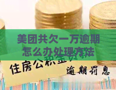 美团共欠一万逾期怎么办处理方法