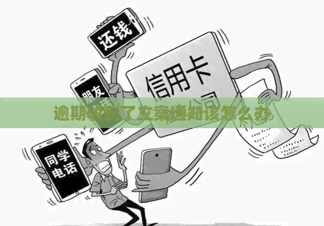逾期收到了立案通知该怎么办