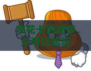 享花卡逾期多久可以起诉