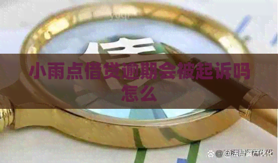 小雨点借贷逾期会被起诉吗怎么