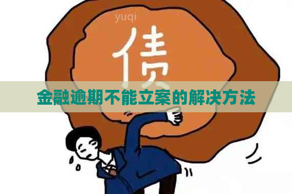 金融逾期不能立案的解决方法