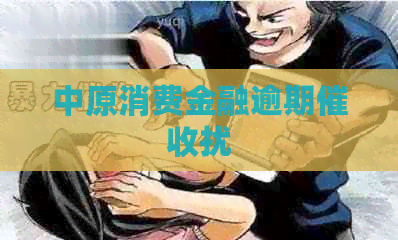 中原消费金融逾期扰
