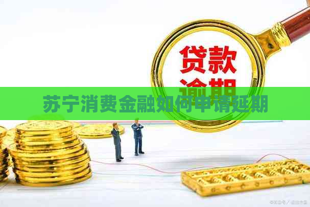 苏宁消费金融如何申请延期