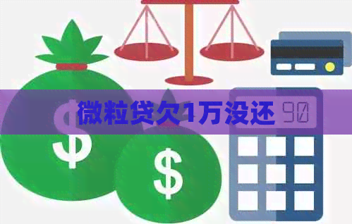 微粒贷欠1万没还