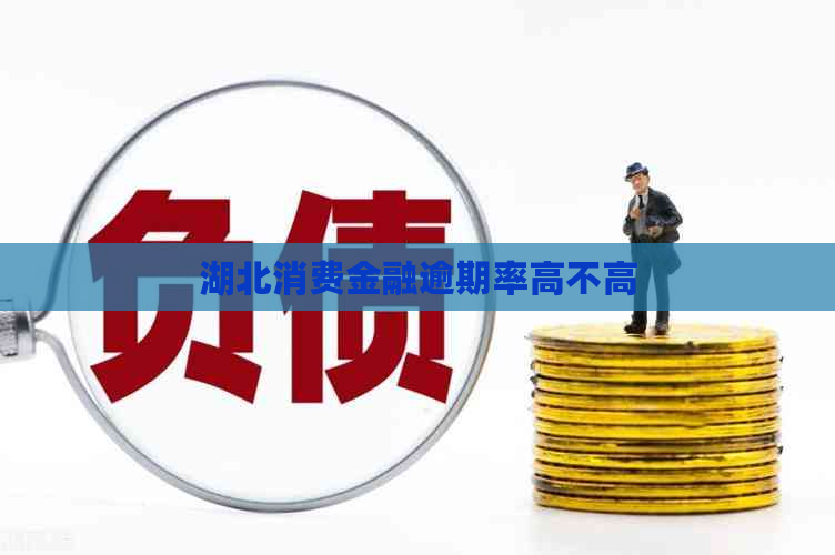 湖北消费金融逾期率高不高