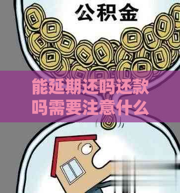 能延期还吗还款吗需要注意什么