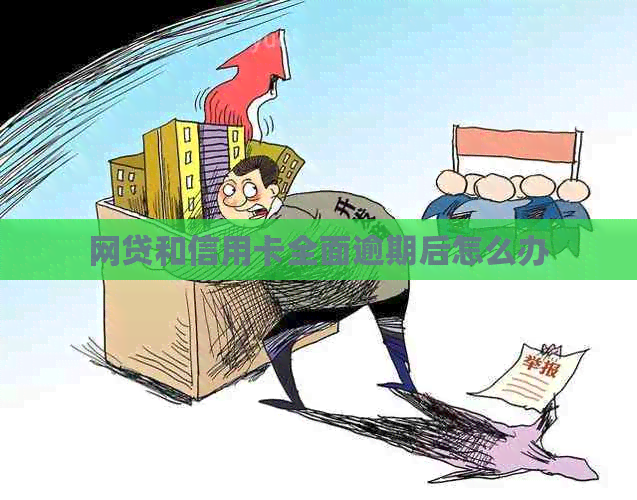 网贷和信用卡全面逾期后怎么办