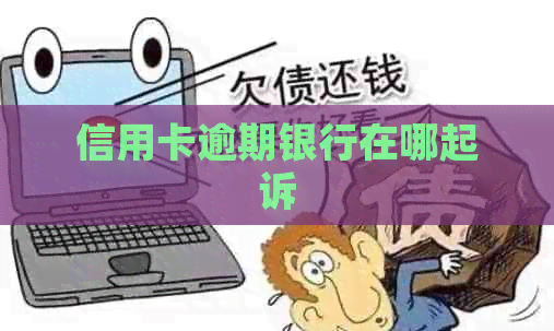 信用卡逾期银行在哪起诉