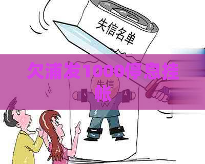 欠浦发1000停息挂帐