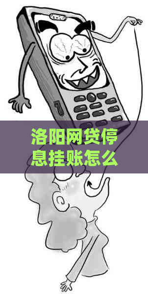 洛阳网贷停息挂账怎么