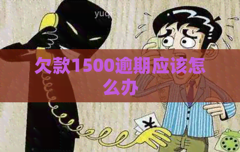 欠款1500逾期应该怎么办