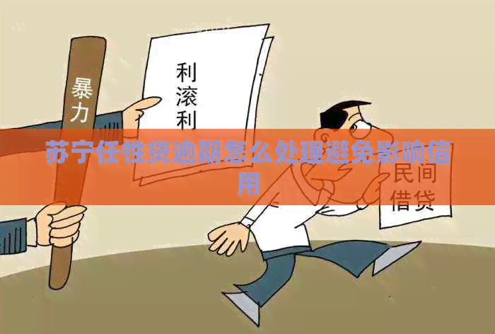 苏宁任性贷逾期怎么处理避免影响信用