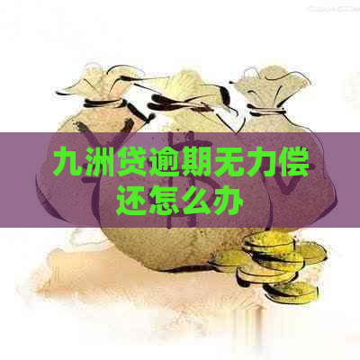 九洲贷逾期无力偿还怎么办
