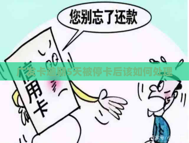广发卡逾期5天被停卡后该如何处理