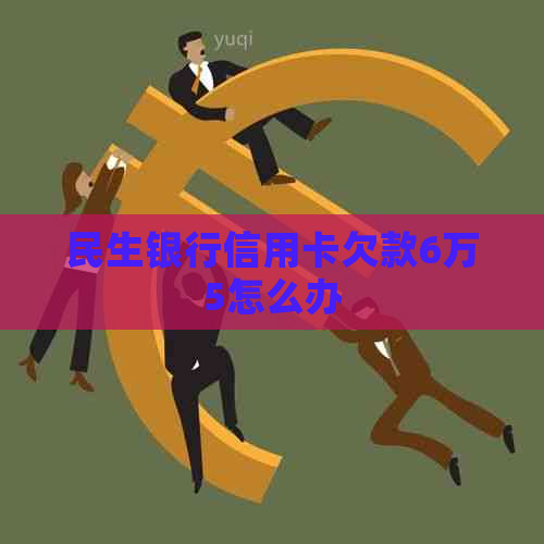 民生银行信用卡欠款6万5怎么办