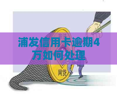 浦发信用卡逾期4万如何处理