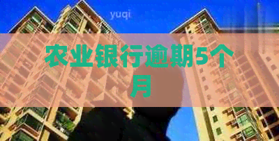 农业银行逾期5个月