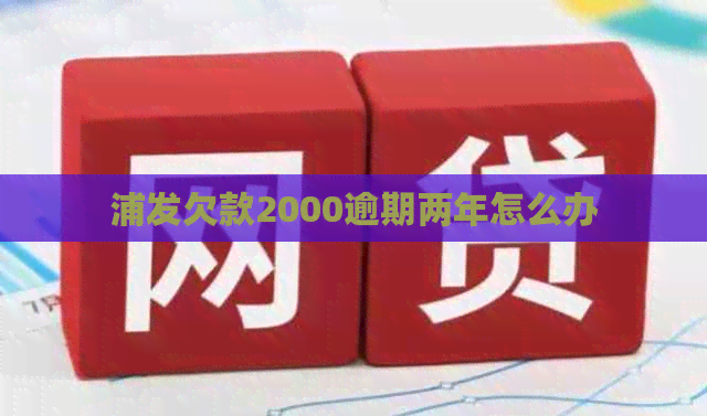 浦发欠款2000逾期两年怎么办