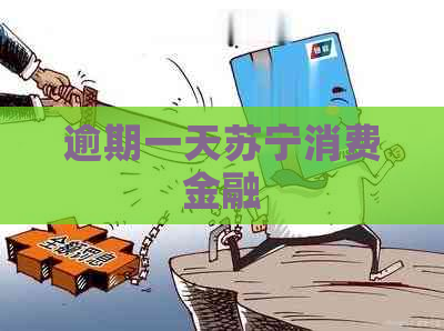 逾期一天苏宁消费金融