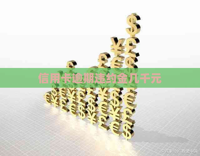 信用卡逾期违约金几千元