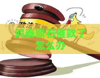 鸿泰鼎石催款了怎么办