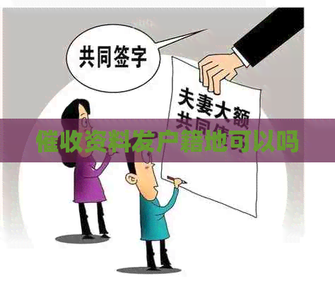 资料发户籍地可以吗