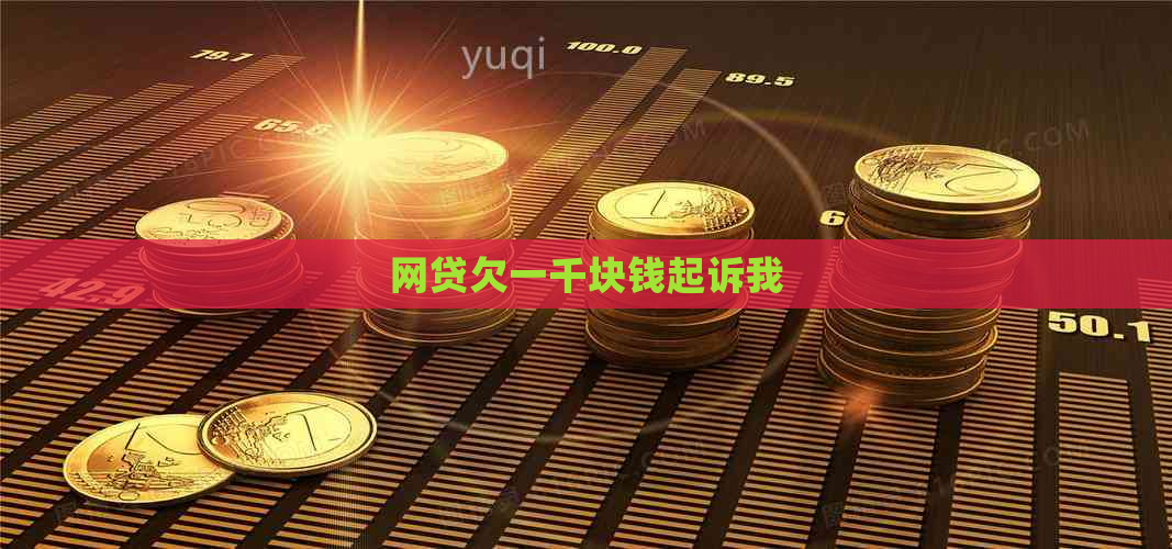 网贷欠一千块钱起诉我