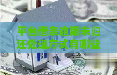 平台借条逾期未归还处理方式有哪些