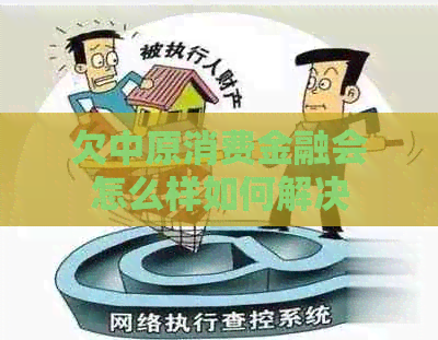 欠中原消费金融会怎么样如何解决