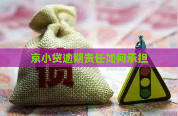 京小贷逾期责任如何承担