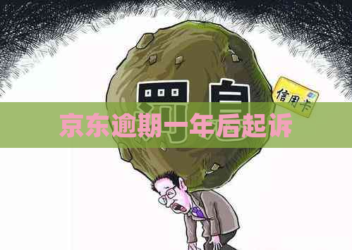 京东逾期一年后起诉