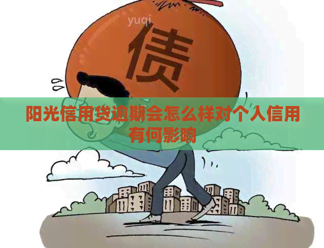阳光信用贷逾期会怎么样对个人信用有何影响