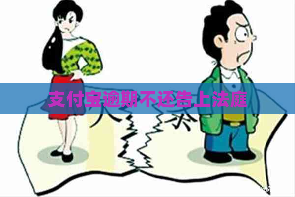 支付宝逾期不还告上法庭