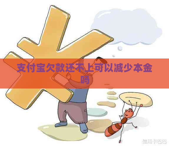 支付宝欠款还不上可以减少本金吗 支付宝欠款还不上可以减少本金吗