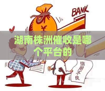 湖南株洲是哪个平台的