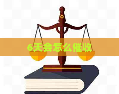 6天会怎么