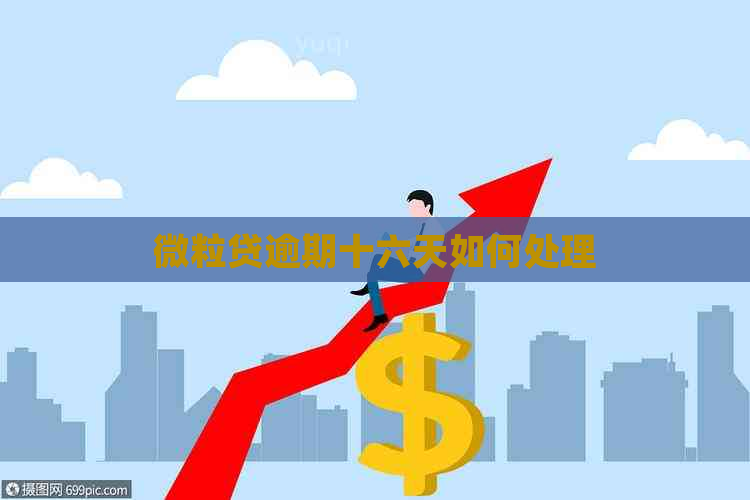微粒贷逾期十六天如何处理